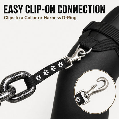 Oversized Chain Dog Leash & Collar Set for Small Dogs - Make Everyday Walks Stand Out