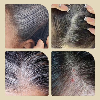 🌲Buy 2 Get 1 Free✨Safe and Convenient Comb Hair Dye