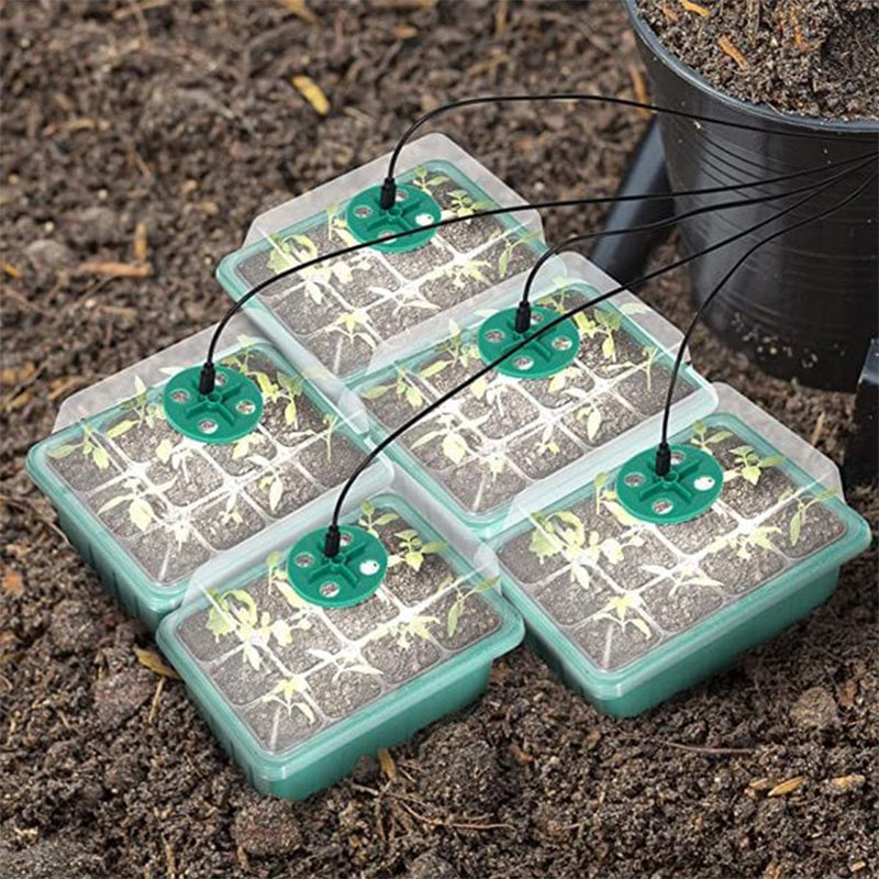 💎50% OFF! 💎 Grow Trays with Grow Light – Humidity Control, Transparent, and Full-Spectrum Light 🌱💡