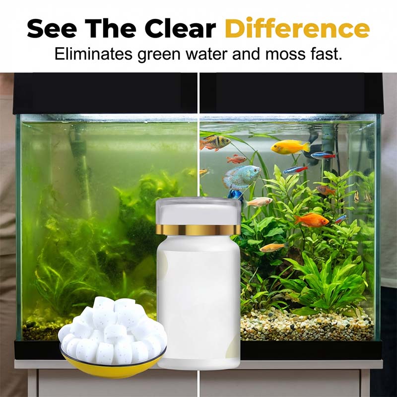 🥳2026 HOT SALE🥳💞50K+ SOLD!🐠💧 50% OFF! Algae Control Tablets – Stops Blooms At Cellular Level. Keep Your Tank Crystal Clear. 🐟✅